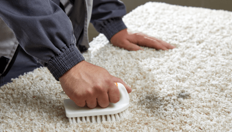 Professional Rug Cleaning Rosebud